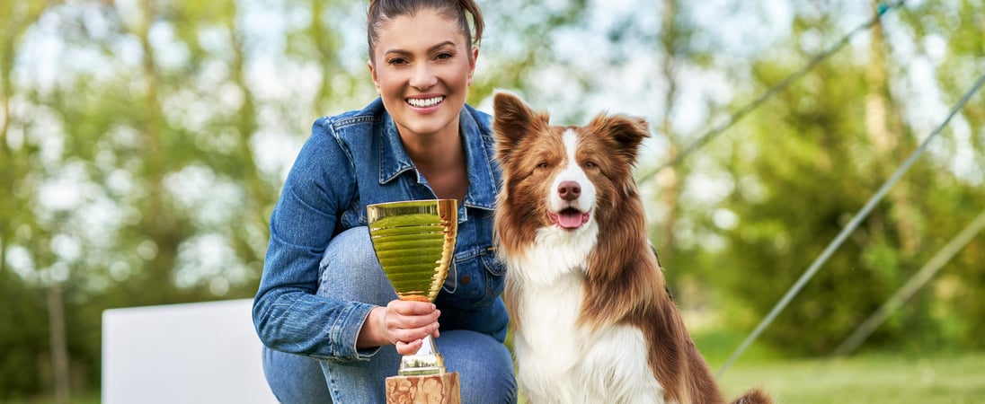 Westminster Dog Show